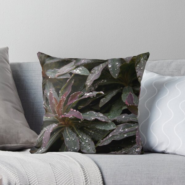 Item preview, Euphorbia amygdaloides  'Purpurea' designed and sold by Catherine Dipper.