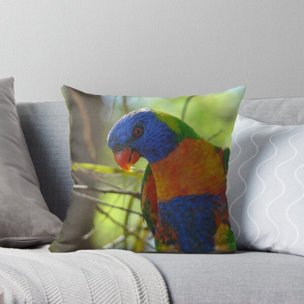 Item preview, Lorikeet At Sunrise designed and sold by Vanessa Webb.