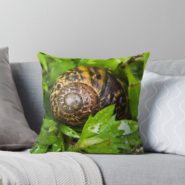 Aperçu de l'œuvre Backyard Snail créée et vendue par Pascal and Isabella Inard.