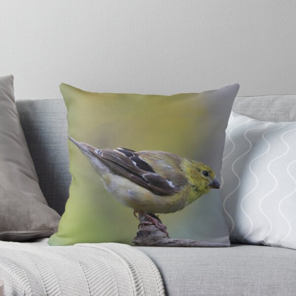 Item preview, Winter Finch designed and sold by noffi.