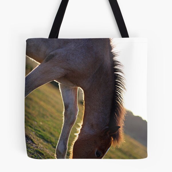 Artikelvorschau, Foal entworfen und verkauft von Ben Luck.