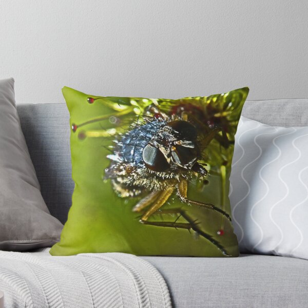 Item preview, Fly-Eyes designed and sold by Murray Wills.