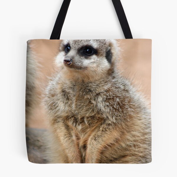 Artikelvorschau, Meerkat entworfen und verkauft von Jack  Preston.