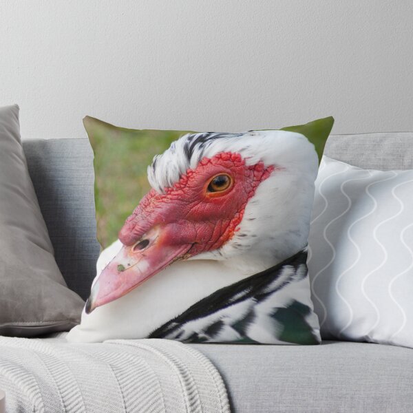 Item preview, Muscovy Duck (Ely) designed and sold by evilcat.