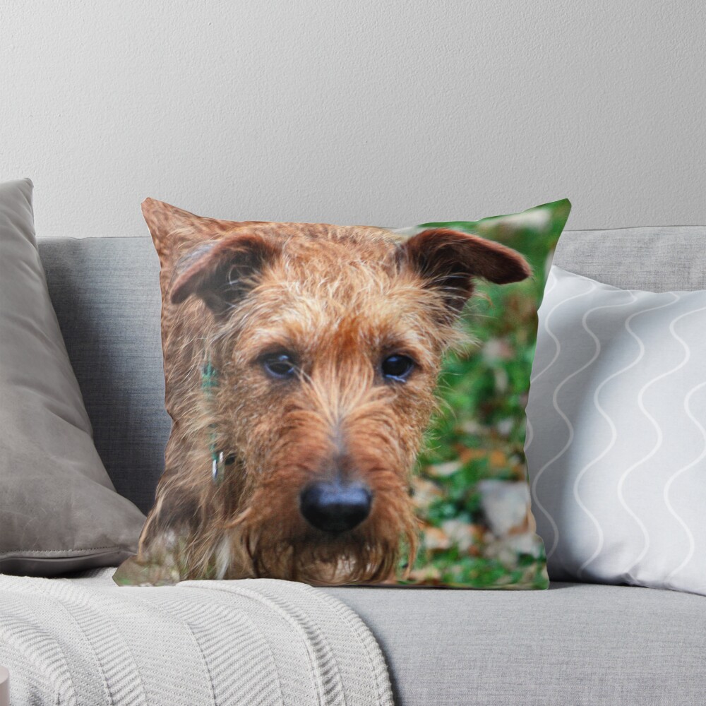 Item preview, Throw Pillow designed and sold by cdudak.