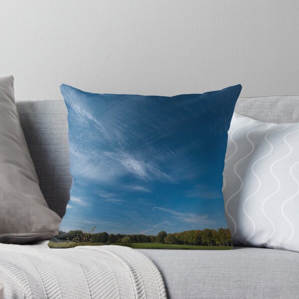 Item preview, Into the Sky designed and sold by Brendan Schoon.