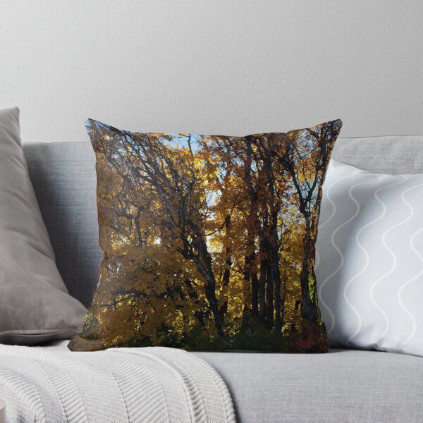 Item preview, Fall Colors in Utah designed and sold by Jan Tribe.