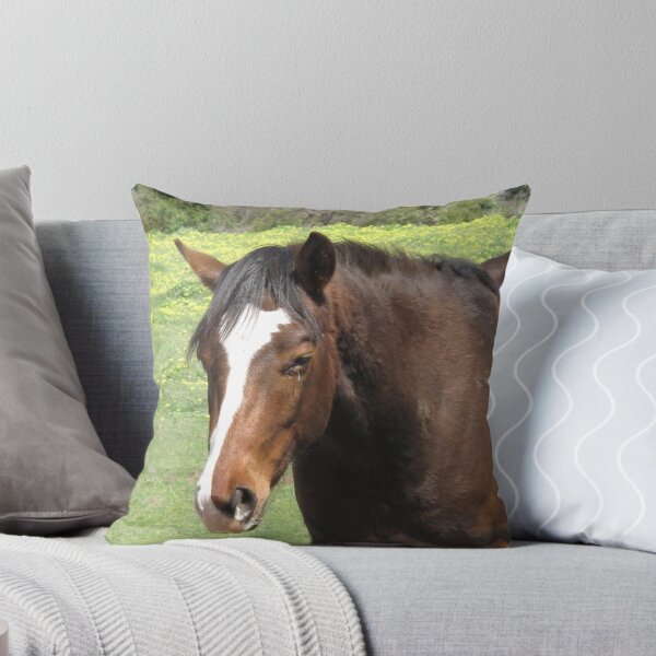Item preview, Politically Incorrect designed and sold by Skyhorse.
