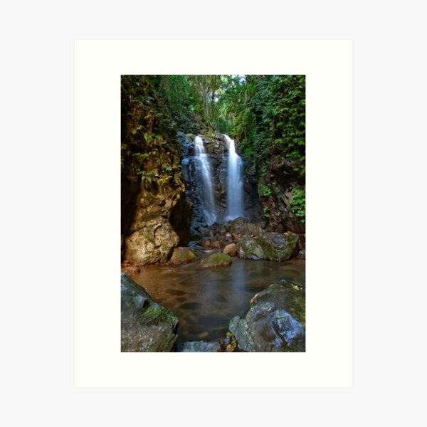 Item preview, Box Log Falls, Box Forest Circuit designed and sold by smallan.