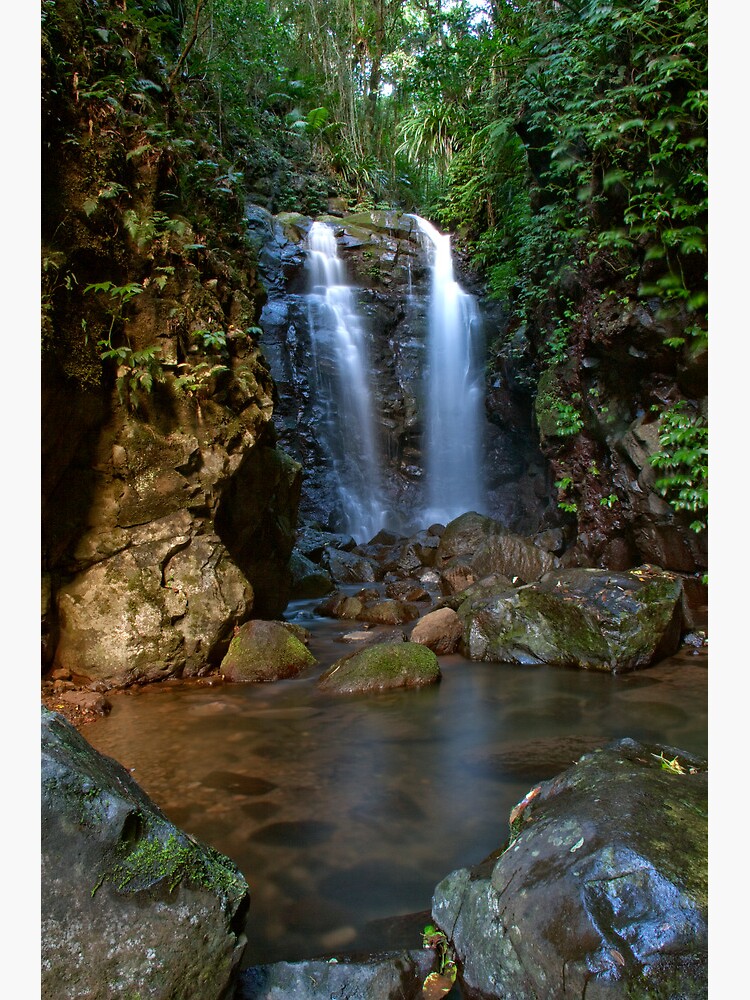 Thumbnail 3 of 3, Photographic Print, Box Log Falls, Box Forest Circuit designed and sold by smallan.