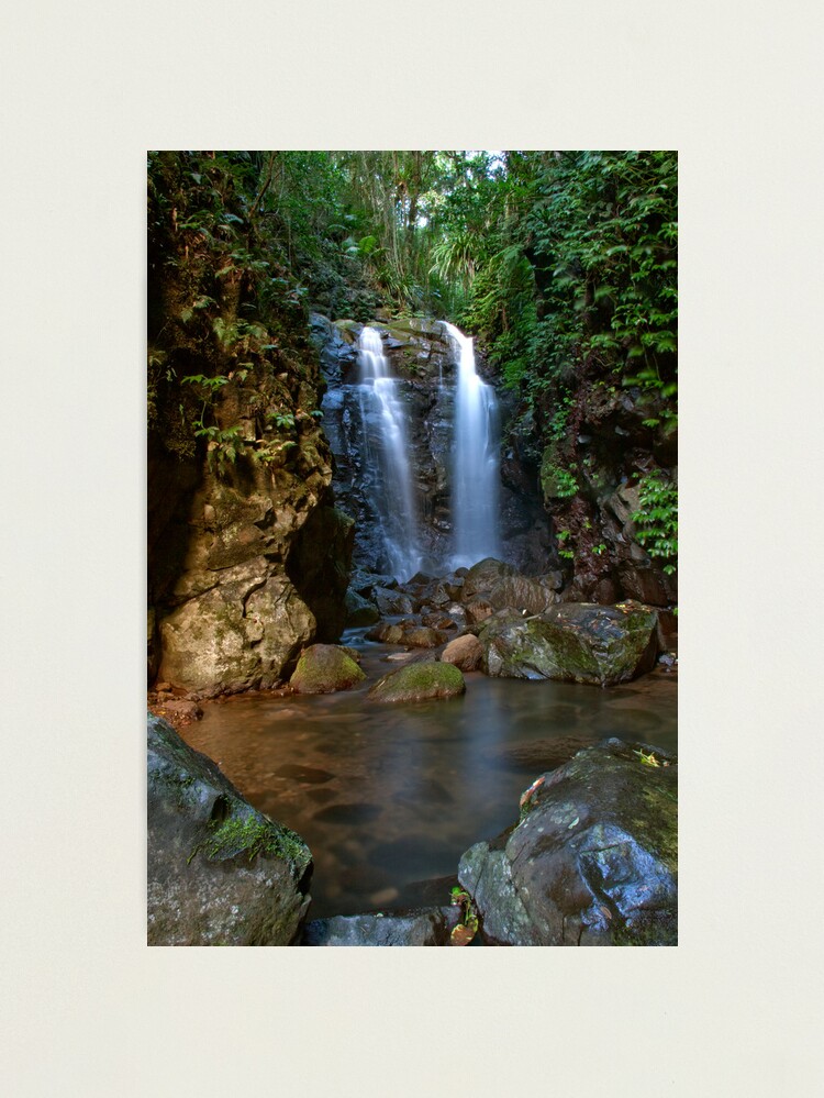 Thumbnail 1 of 3, Photographic Print, Box Log Falls, Box Forest Circuit designed and sold by smallan.