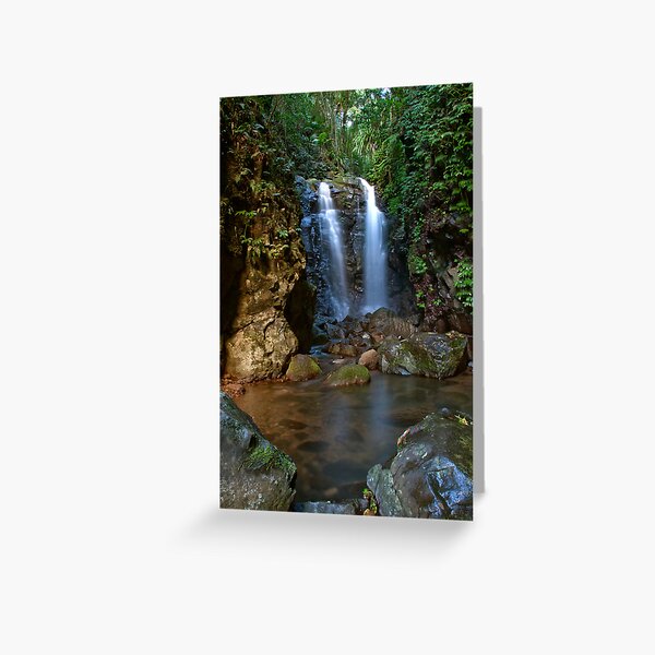 Item preview, Box Log Falls, Box Forest Circuit designed and sold by smallan.
