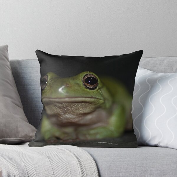 Item preview, Frog designed and sold by Matt Sillence.