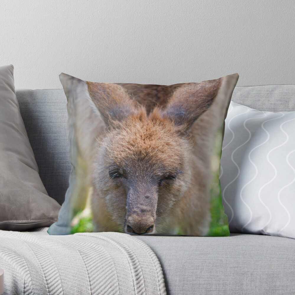 In your face Throw Pillow