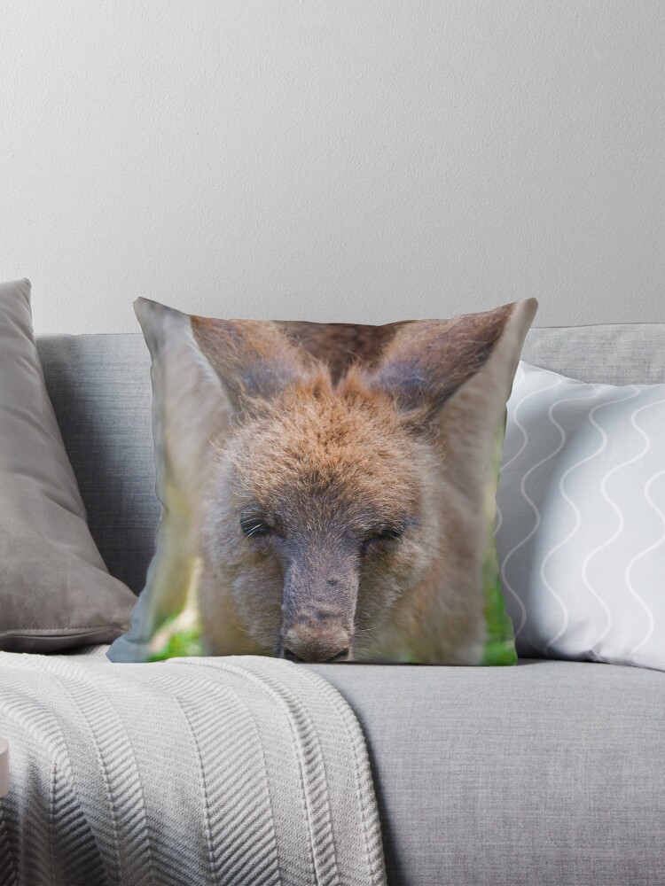 Thumbnail 1 of 4, Pillow, In your face designed and sold by RICHARDW.