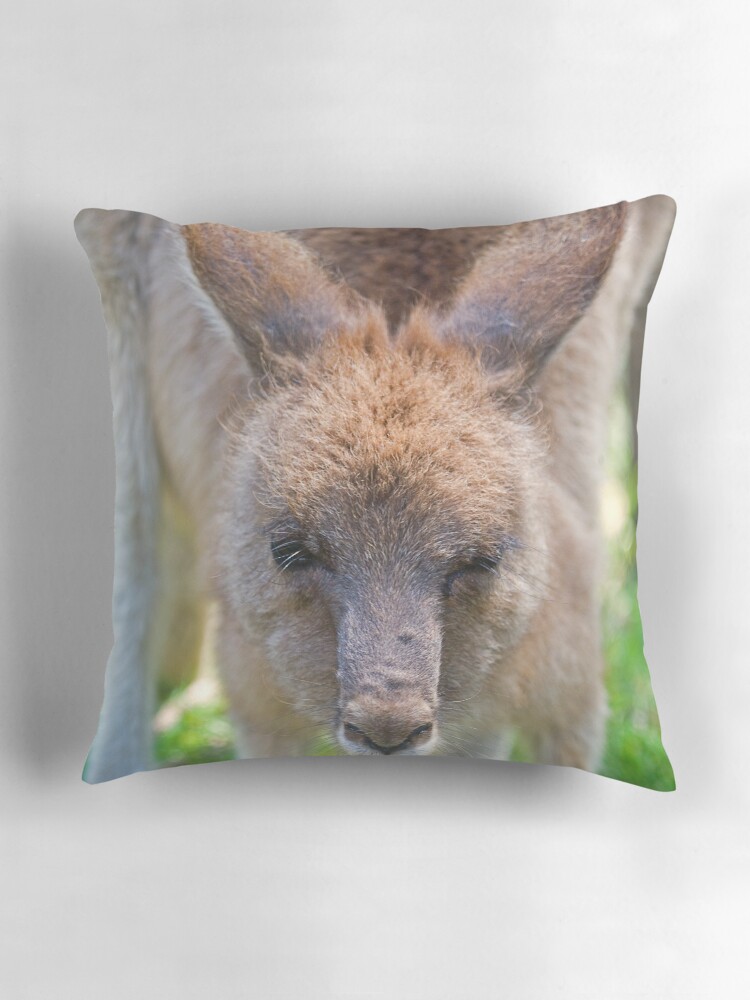 Thumbnail 3 of 4, Pillow, In your face designed and sold by RICHARDW.