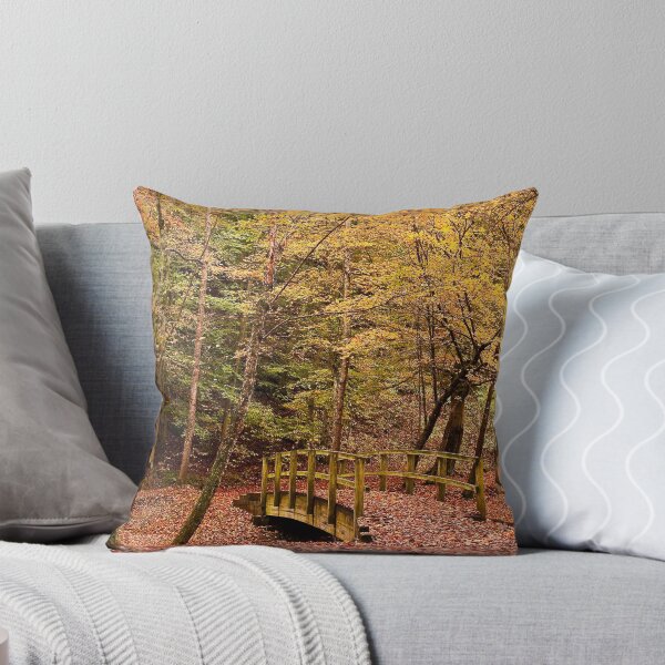 Item preview, Autumn Bridge - Chief Logan State Park designed and sold by LeeAnne Emrick.