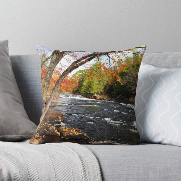 Oxtongue River Rapids Throw Pillow