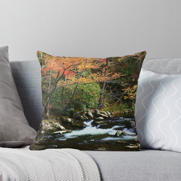 Aperçu de l'œuvre AUTUMN,MIDDLE PRONG LITTLE RIVER créée et vendue par Chuck Wickham.