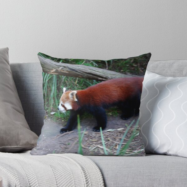 Item preview, Looking for a Way Out designed and sold by Brandie1.
