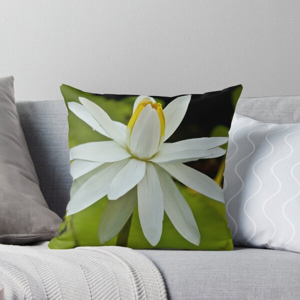 Item preview, Pure White designed and sold by Melissa Gurdus.