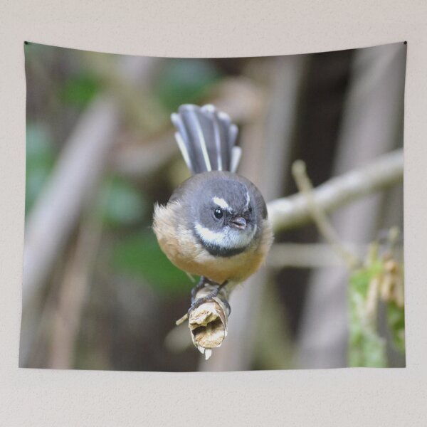 Item preview, meep (NZ Fantail)- New Zealand Birds designed and sold by lizdomett.