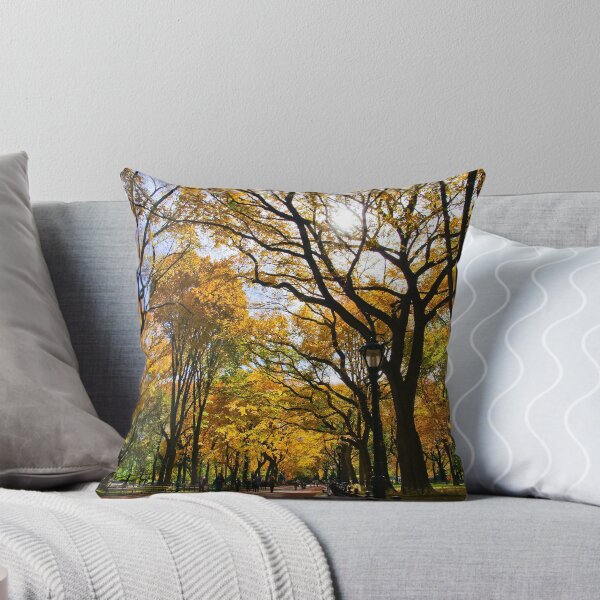 Item preview, Fall in Central Park designed and sold by TrinityShot.