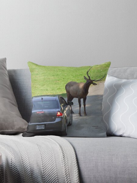 Two opposite worlds confrontation Coussin