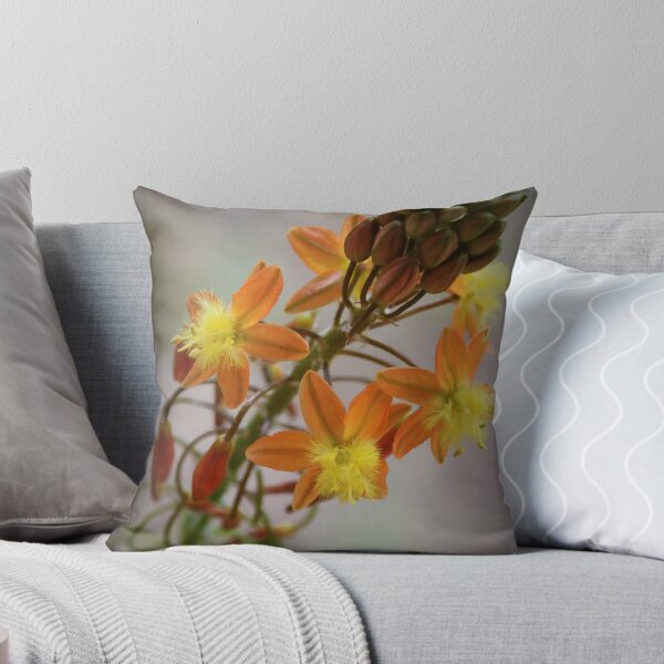 Item preview, Bulbine frutescens  designed and sold by LauraBroussard.