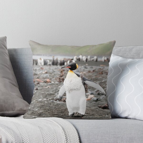 Item preview, Adolescent King penguin with vest on, Macquarie Island designed and sold by Phill Danze.