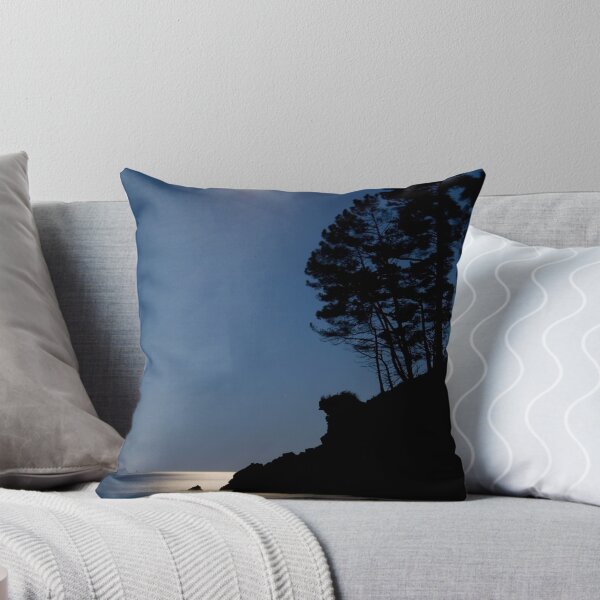 Aperçu de l'œuvre Moon over coromandel créée et vendue par Paul Mercer.