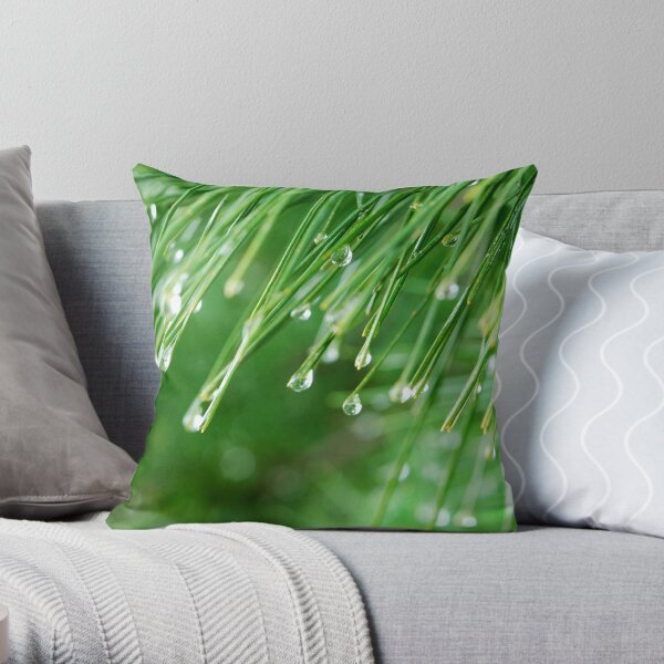 After the Rain Throw Pillow