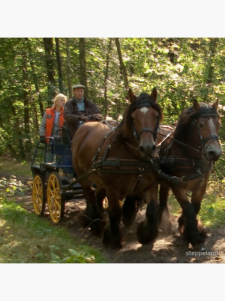 Thumbnail 4 of 4, Pillow, Full speed ride with draft horses and carriage designed and sold by steppeland.