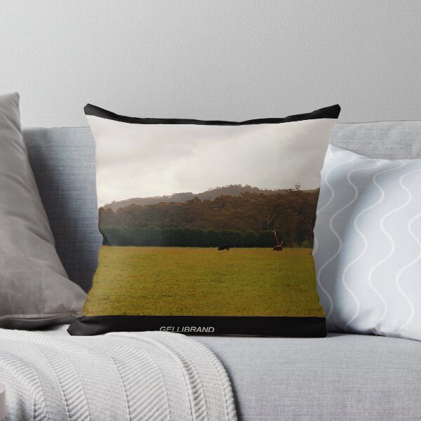 Otways National Park - Gellibrand Throw Pillow