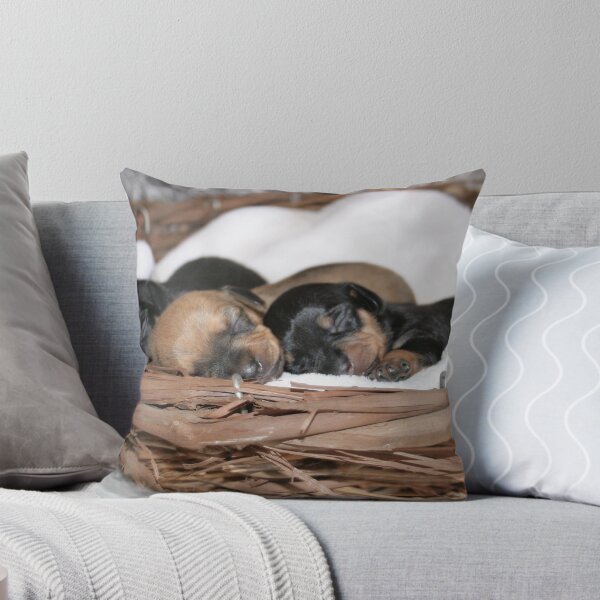 Item preview, Basket Full of Puppies designed and sold by jujubean.