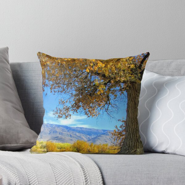 Item preview, Changes designed and sold by MARILYN DIAZ.