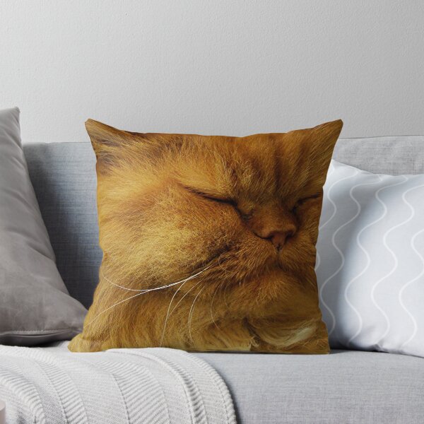 Item preview, Ginger shelter cat designed and sold by Robin Nellist.
