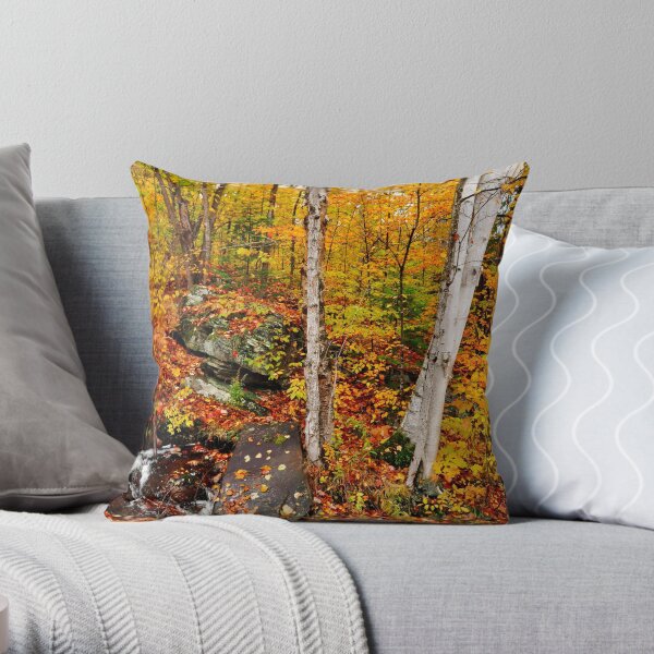 Autumnal Brook Throw Pillow