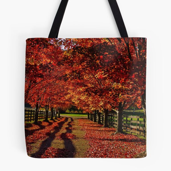 Item preview, Driveway  designed and sold by Dave Parrish Photography.