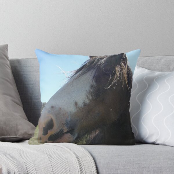 Introducing my best friend in the High Country Oberon-Joe Throw Pillow