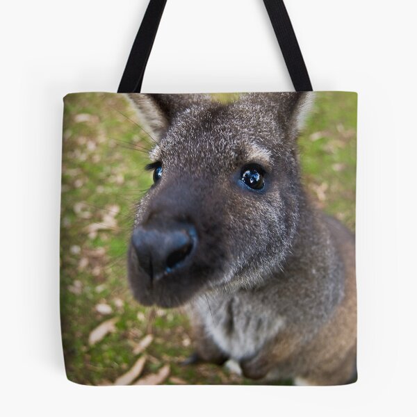 Item preview, Curious designed and sold by justinjm.