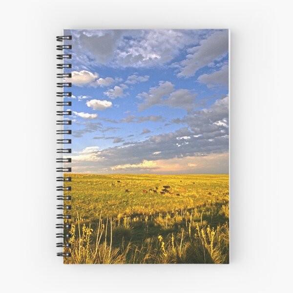 Item preview, Pawnee National Grassland, CO designed and sold by Sallie Sprague.