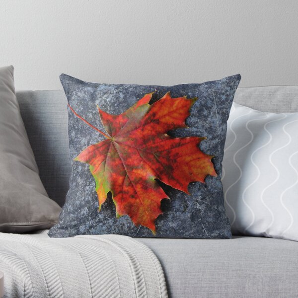 Autumn glory Throw Pillow