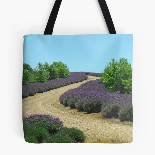 Item preview, Introducing the road to Oberon~6 designed and sold by Alex Gardiner.