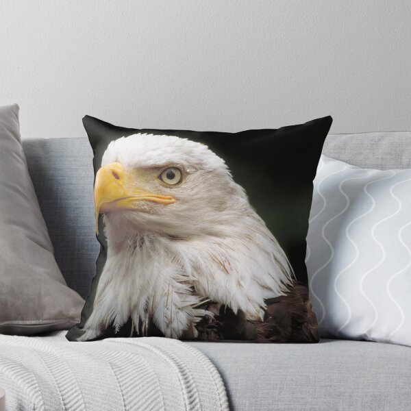 Bald Eagle Throw Pillow