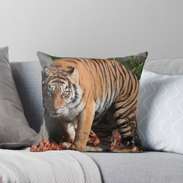 Item preview, Tiger designed and sold by rnrphoto98.