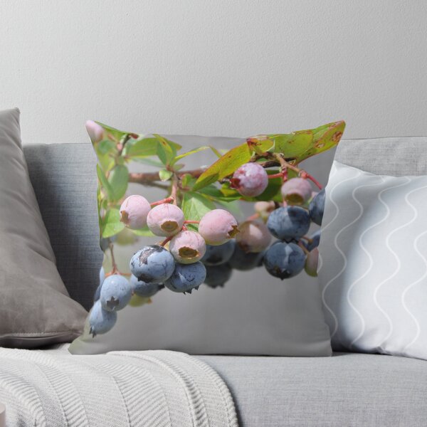 Item preview, blueberries designed and sold by cetrone.