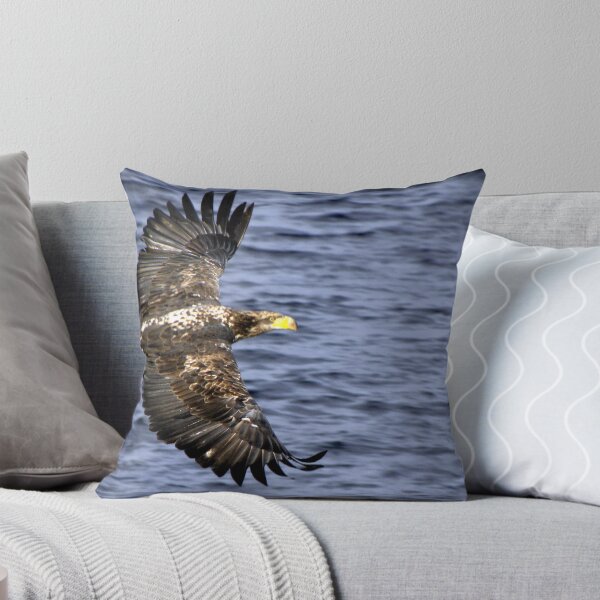 Item preview, Eagle in Flight #2  designed and sold by lanebrain photography.