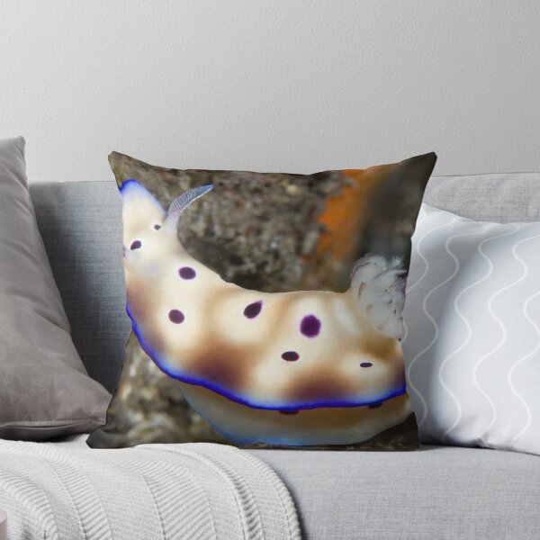 Aperçu de l'œuvre Nudibranche - Bali créée et vendue par Stephen Colquitt.