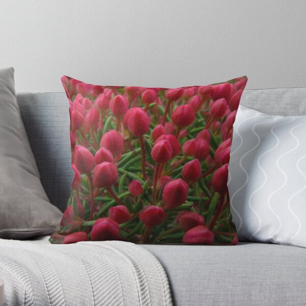 tiptoe through the tulips Throw Pillow